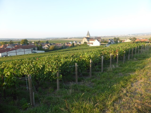 P1100904